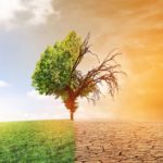 Changement climatique